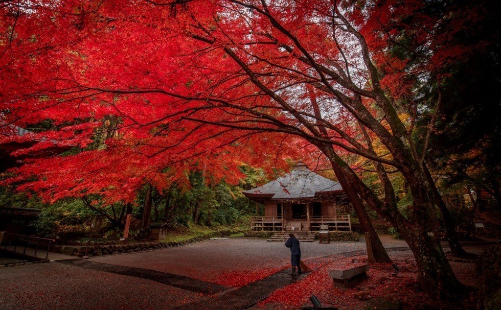 ⛩️ 소젠지 절(崇禅寺) 이미지 6